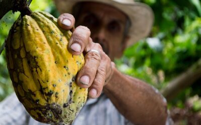 Comment l’Equateur produit un des meilleurs cacao du monde