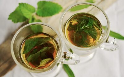Quels sont les bienfaits du thé vert à la menthe selon la science ?