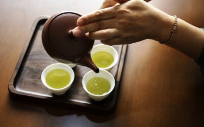 Guide du thé vert sencha : fabrication, bienfaits, préparation…
