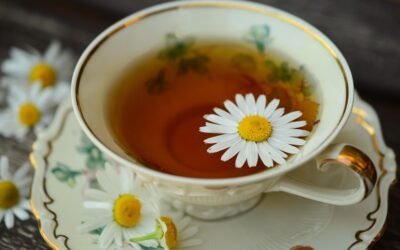 Quelle différence entre un thé, une tisane et une infusion ?