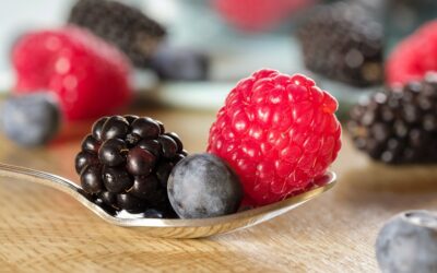 Comment bien congeler ses fruits pour plus de fraicheur et plus de goût
