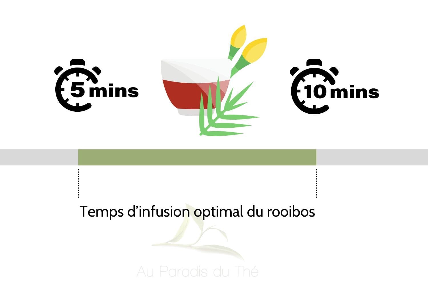 schéma du meilleur temps d'infusion du rooibos