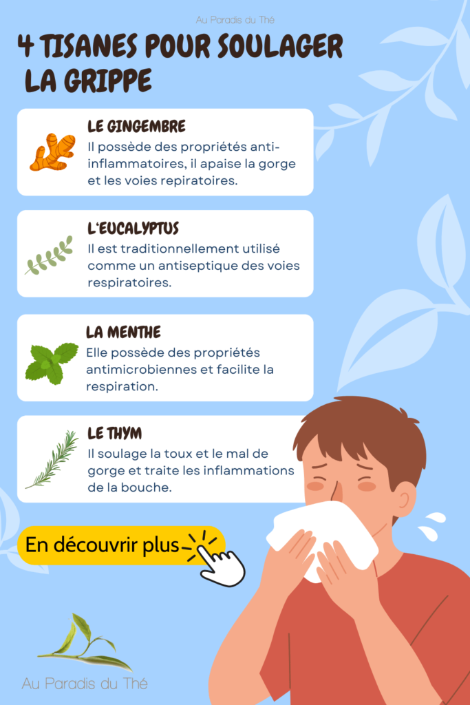 infographie tisanes pour la grippe